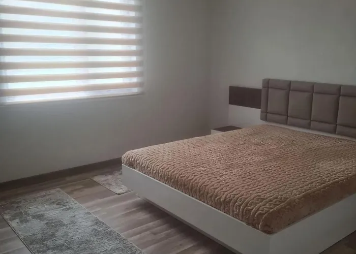 Vila хадживезула *