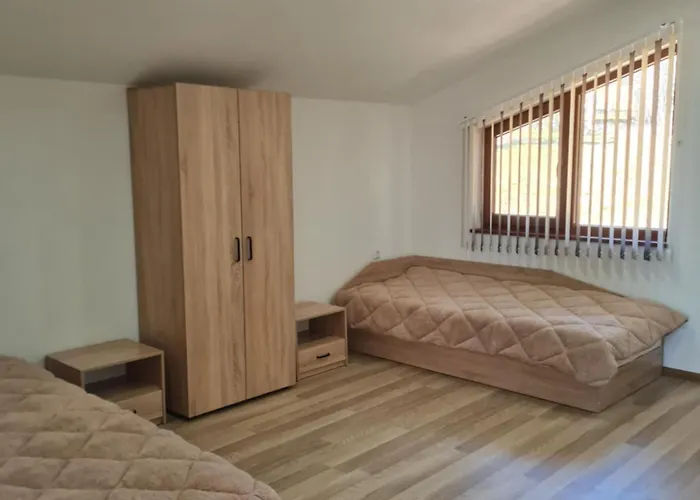 Vila хадживезула *